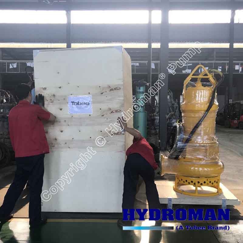 Electric Submersible Sand Pumps Electric Submersible Sand Pumps