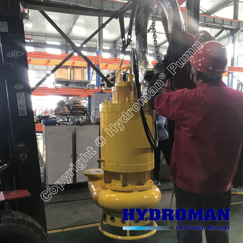 8inch Submersible Sewage Sludge Pumps