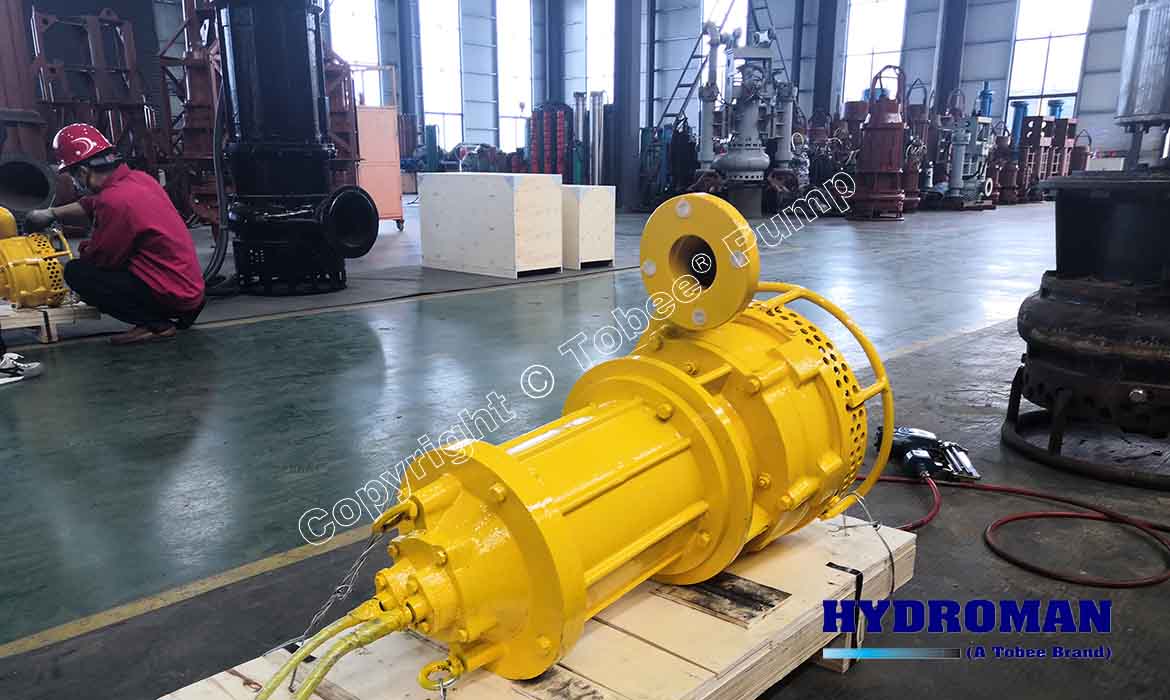 Electric Submersible Dewatering Pump