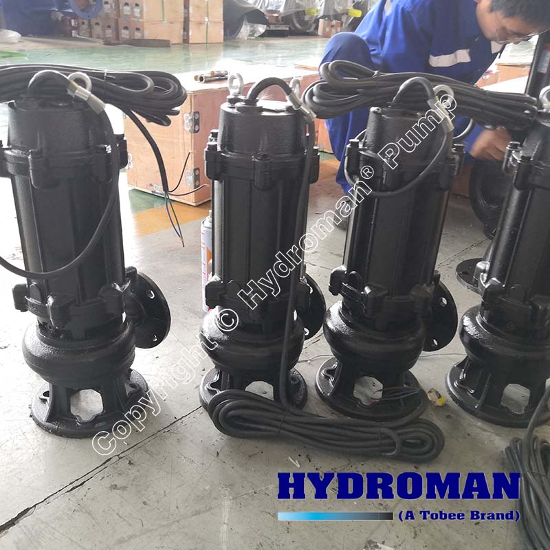 Submersible storm drainage pump