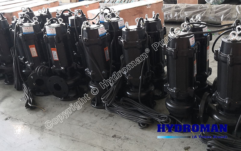 Submersible sewage effluent sump pump