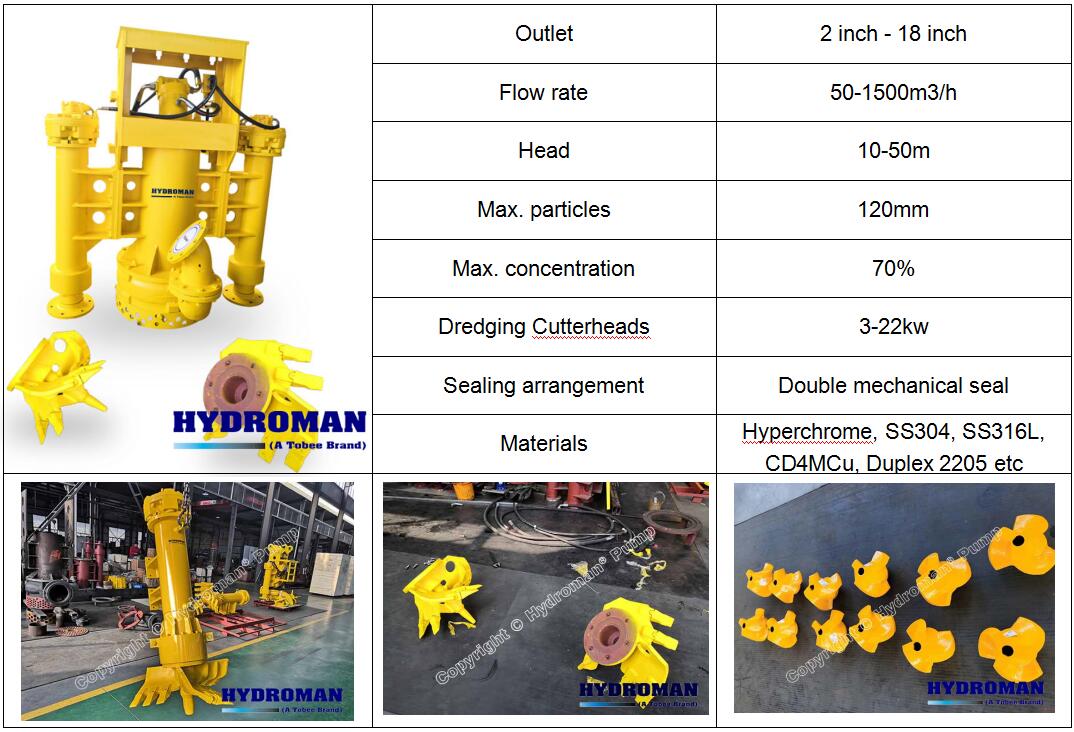 China hydraulic submersible slurry pump