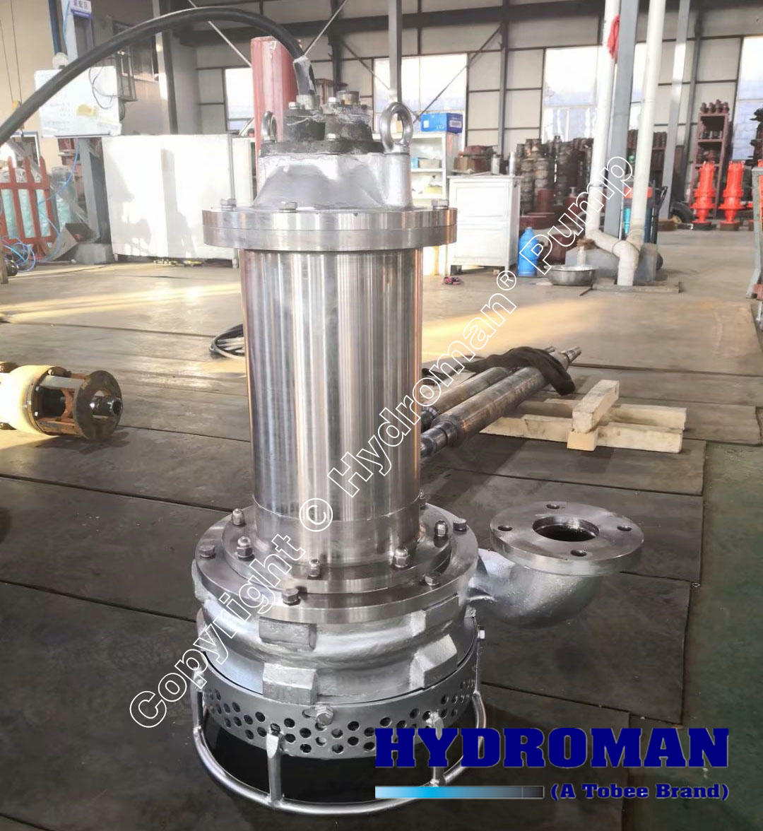 Stainless Steel Submersible Pump with Agitator