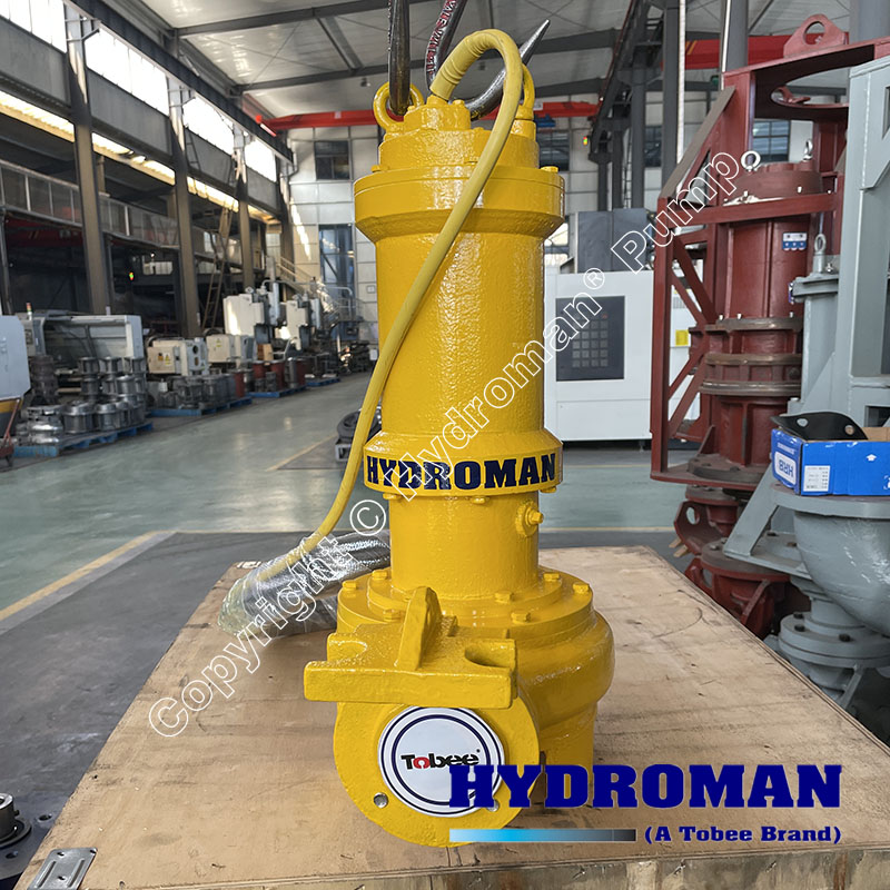 Submersible Cast Iron Wastewater & Sewage Pump