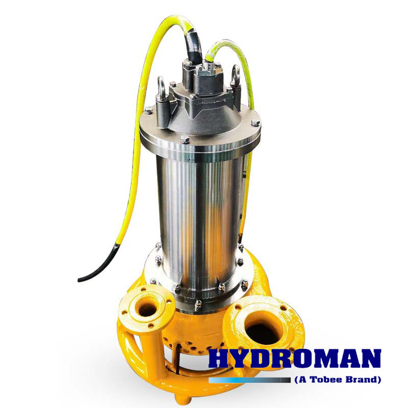 Stainless Steel Submersible Sea Water Pumps