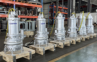 Submersible Slurry Pump for Sewage Sludge in Water Treatment Plant